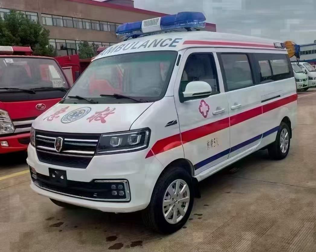 金杯海獅轉運救護車